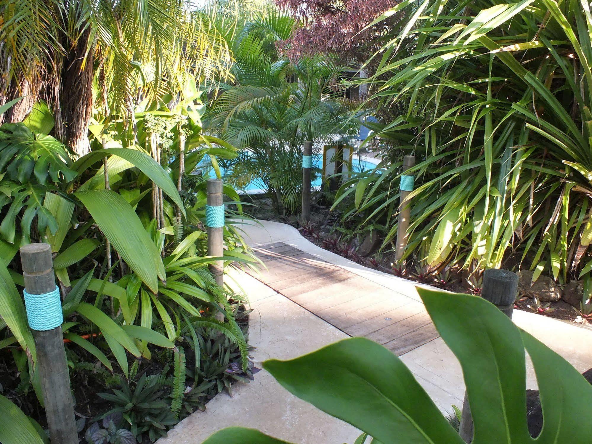 Rarotonga Daydreamer Escape Kültér fotó